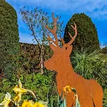 Les Jonquilles Et Les Narcisses Hébergement de vacances Cier-de-Luchon