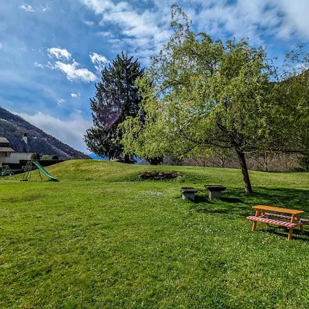 Les Jonquilles Et Les Narcisses