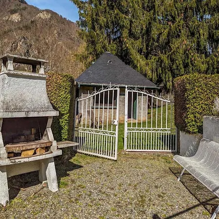 Les Jonquilles Et Les Narcisses Cier-de-Luchon