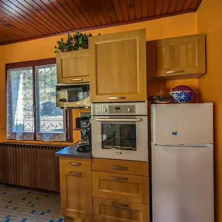 Les Jonquilles Et Les Narcisses * Cier-de-Luchon