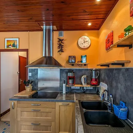 Les Jonquilles Et Les Narcisses Cier-de-Luchon