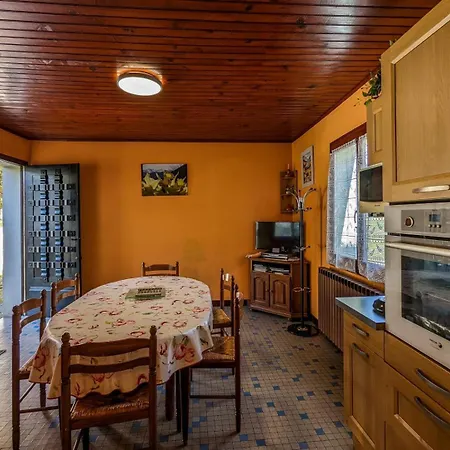 Les Jonquilles Et Les Narcisses *