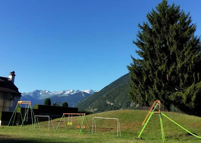 Les Jonquilles Et Les Narcisses * Cier-de-Luchon