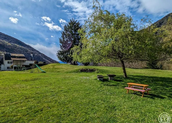 Les Jonquilles Et Les Narcisses