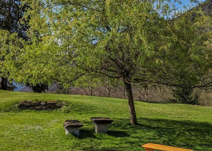 Les Jonquilles Et Les Narcisses