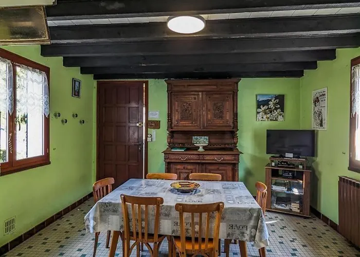 Les Jonquilles Et Les Narcisses Cier-de-Luchon