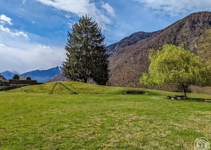 Les Jonquilles Et Les Narcisses Casa de Férias