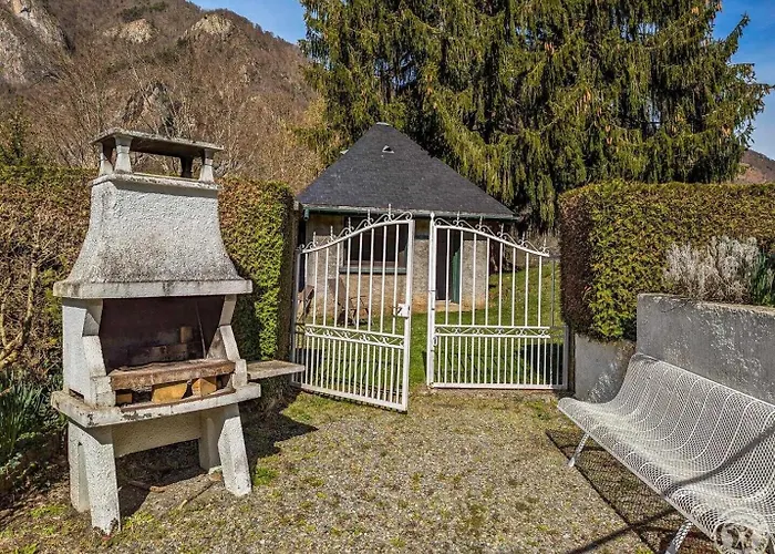 Les Jonquilles Et Les Narcisses Cier-de-Luchon