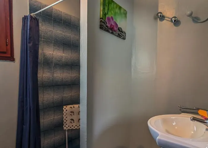 Les Jonquilles Et Les Narcisses Casa de Férias