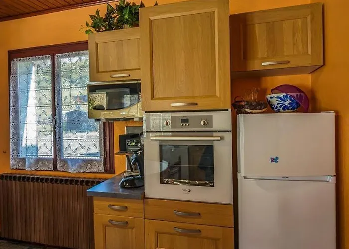 Les Jonquilles Et Les Narcisses * Cier-de-Luchon