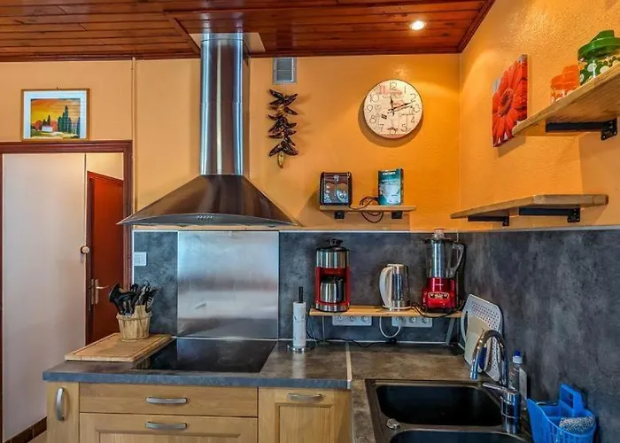 Les Jonquilles Et Les Narcisses Cier-de-Luchon