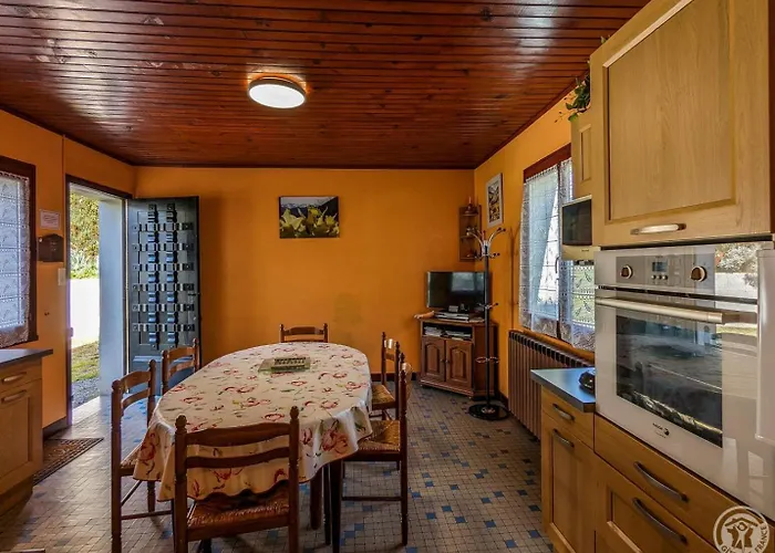 Les Jonquilles Et Les Narcisses *