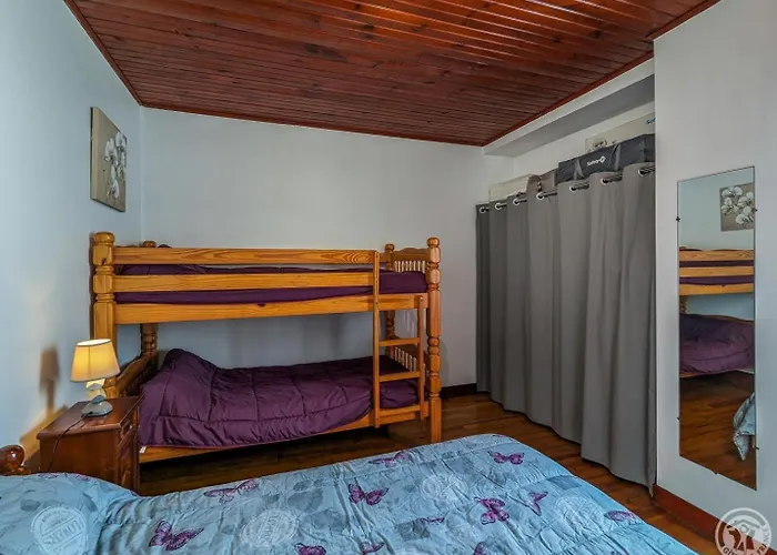 Les Jonquilles Et Les Narcisses * Cier-de-Luchon