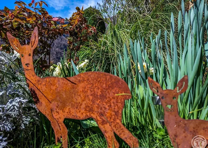 Les Jonquilles Et Les Narcisses