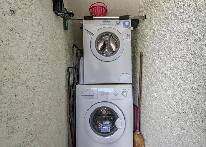 Les Jonquilles Et Les Narcisses *